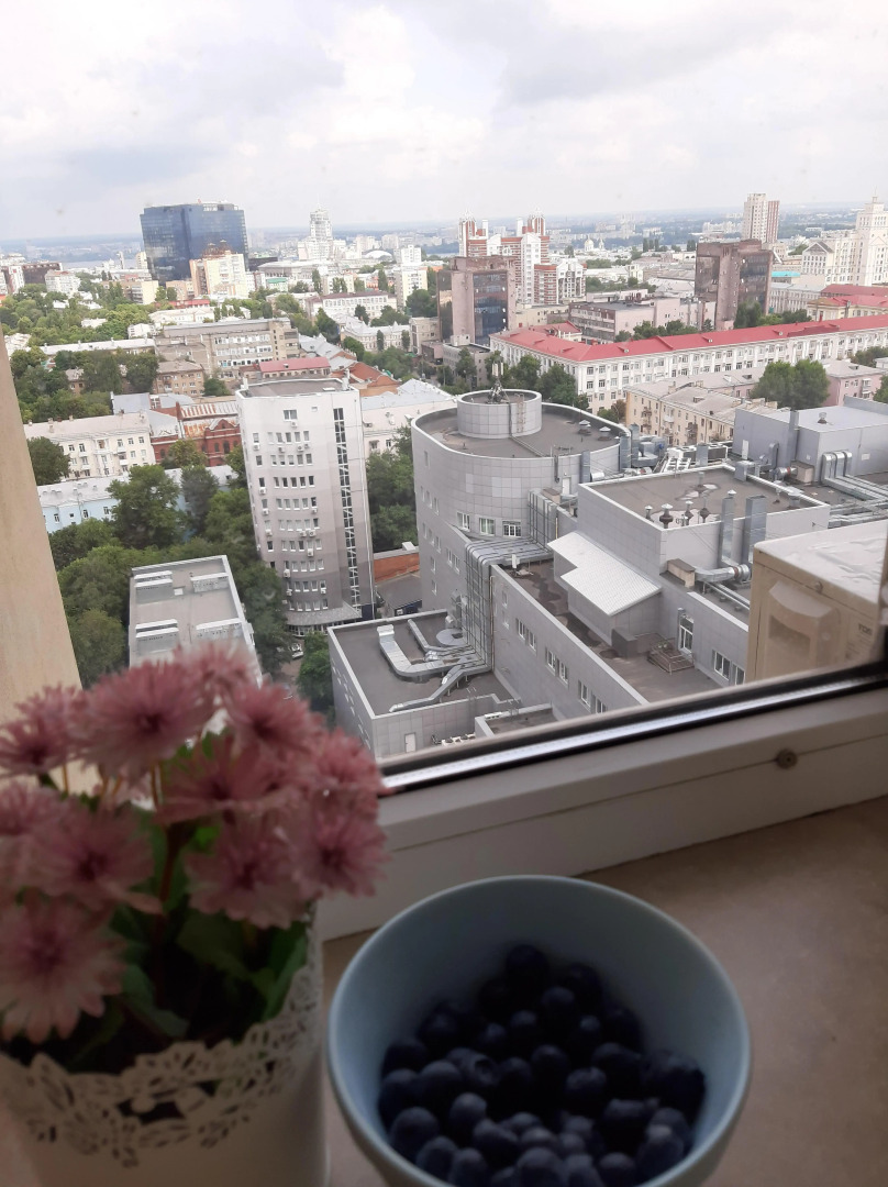 Апартаменты Видовые в Центре Воронежа Фиолет 20/20