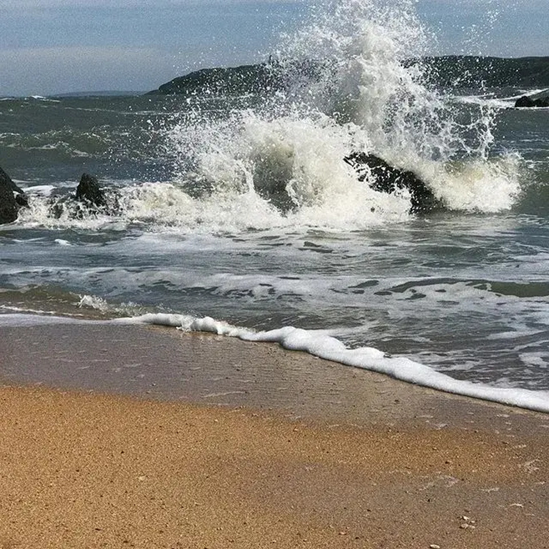 База отдыха Бухта