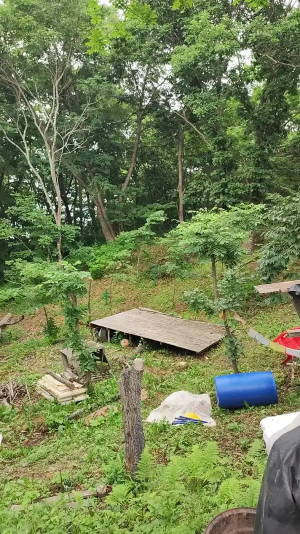 Глэмпинг Guest small house