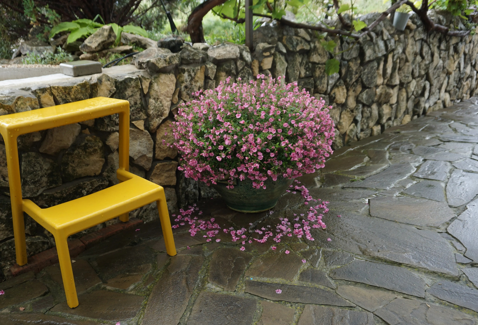 Dom Pod Zvezdopadom Guest House