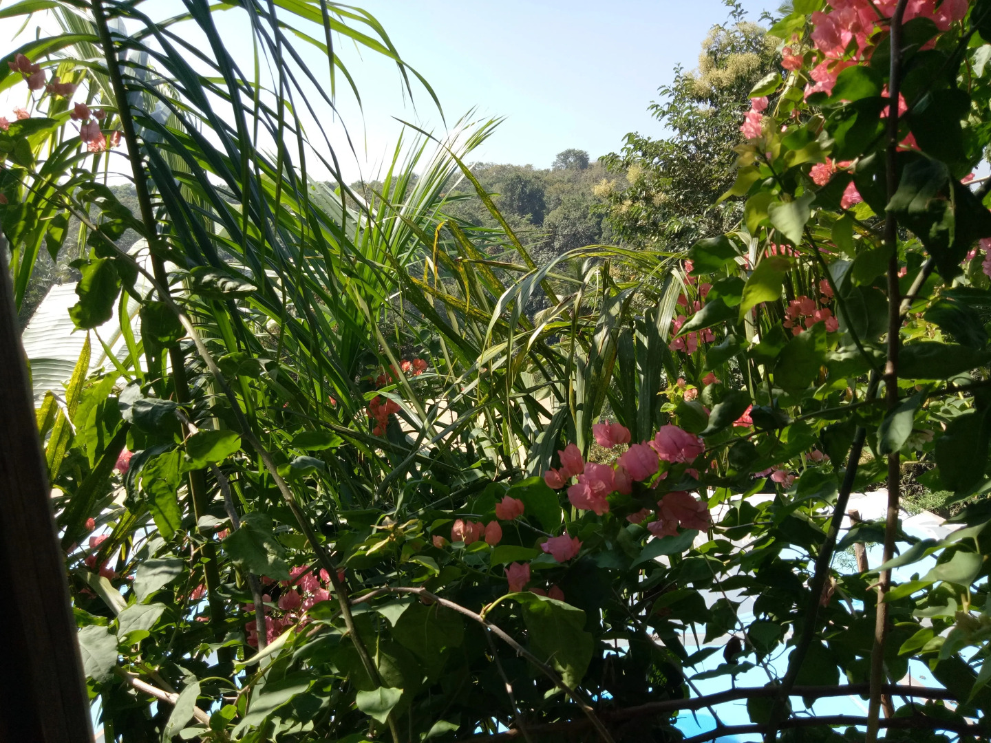 Отель Blue Planet Wellness