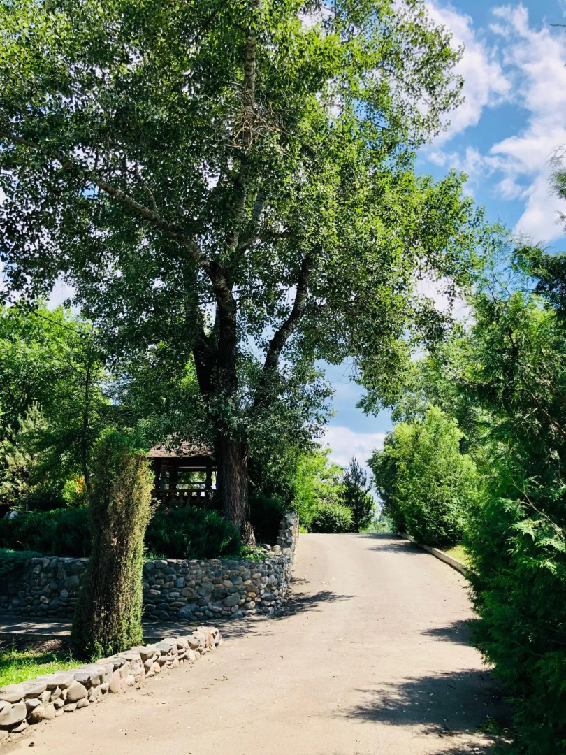 База Отдыха Лукоморье