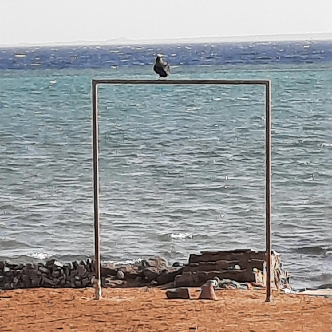 Апартаменты Coral Paradise Villa