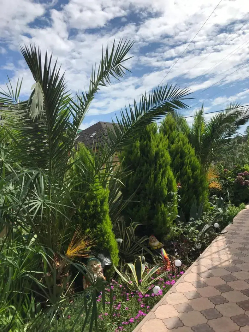 Гостевой дом  РА-ДУГА