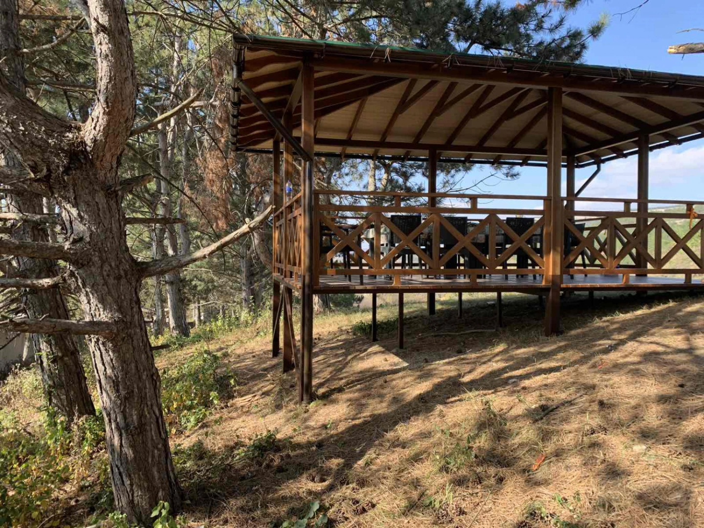 Отель Эко Экорест