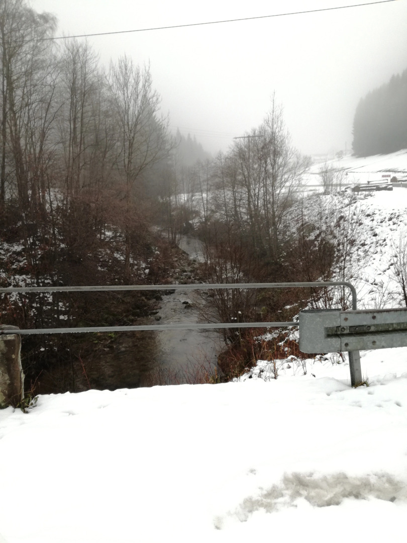 Апарт-Отель Black Forest family