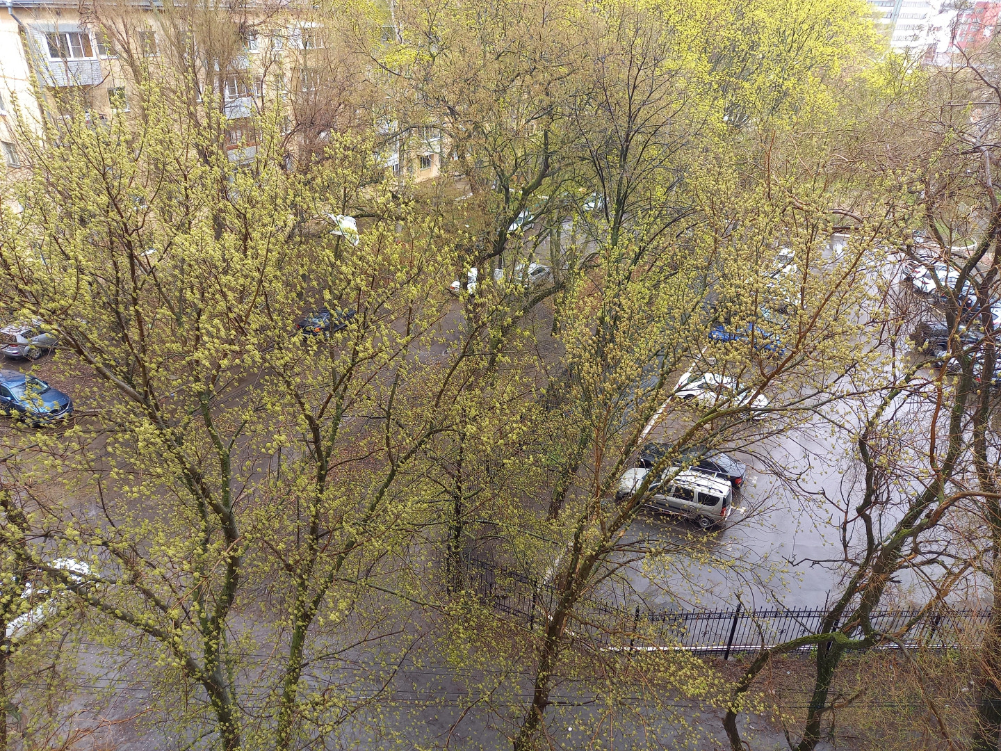 Апартаменты Карла Маркса 116