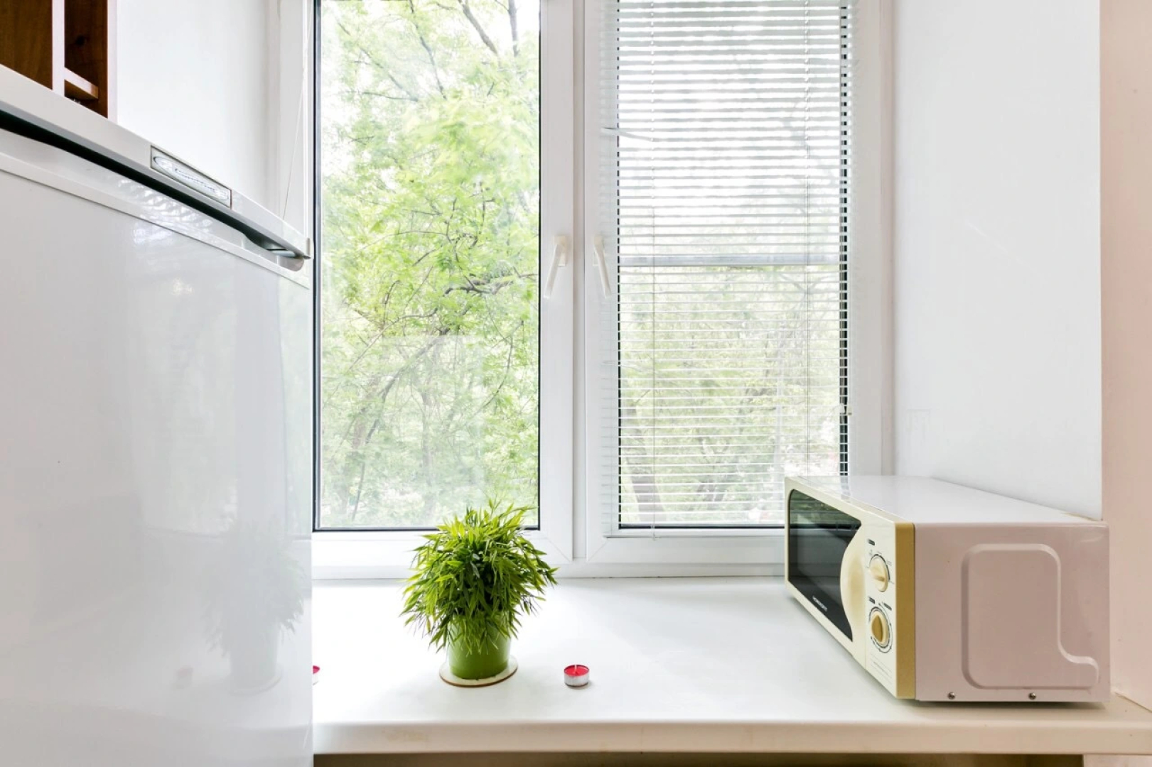 Tverskaya White Apartment in City Centre