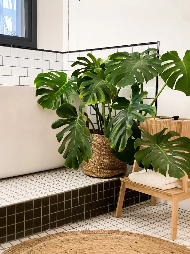 Квартира Сталинка в Центре Перми