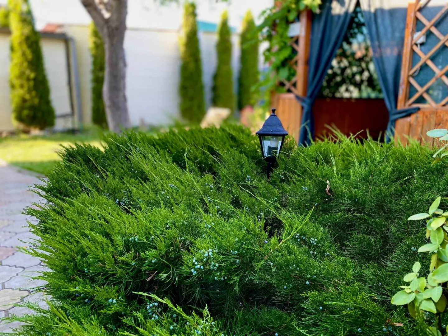 Частный дом Велес