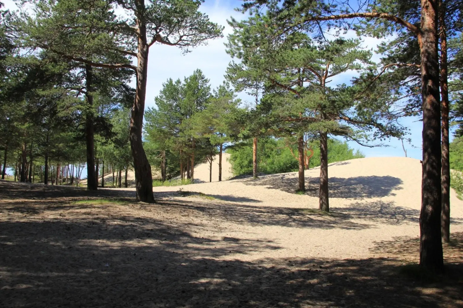 Апартаменты SeveRent Октябрьская 15А