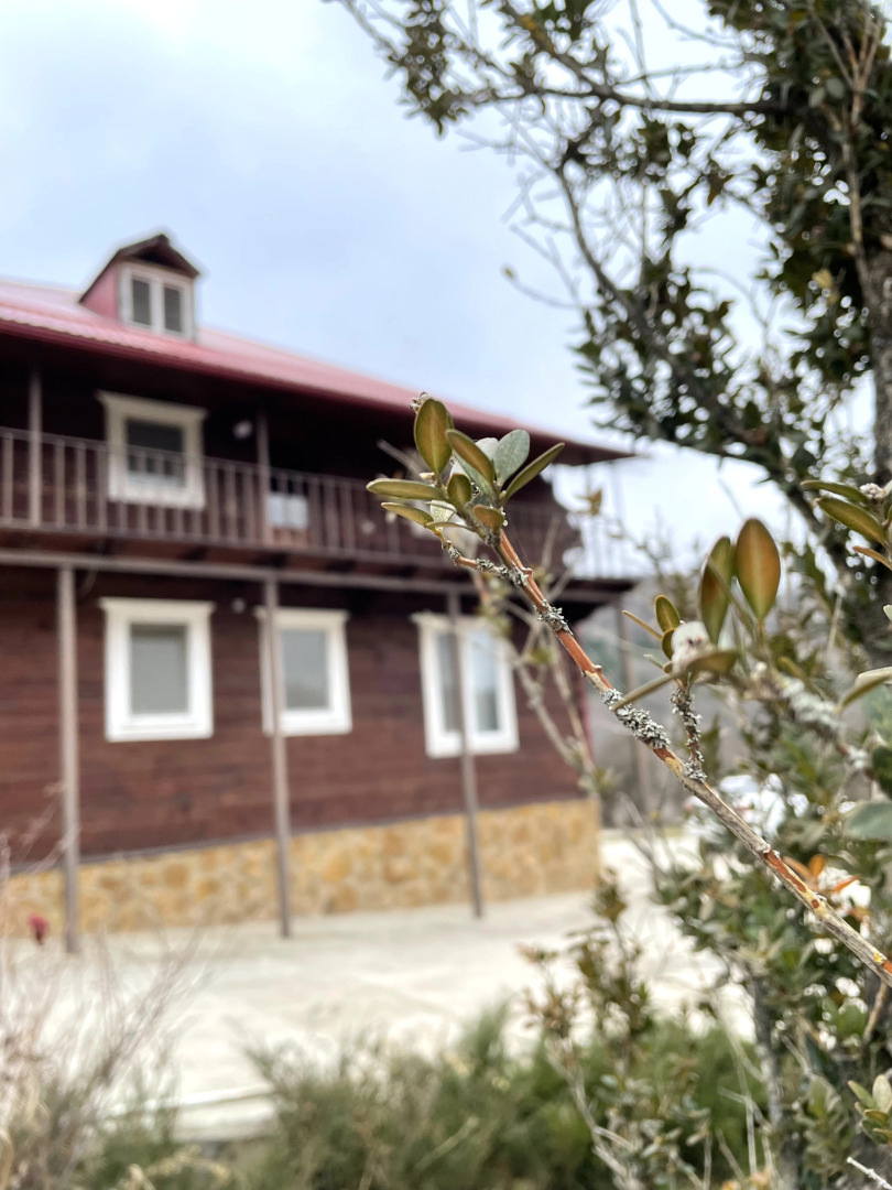 Гостевой Дом Олимпия