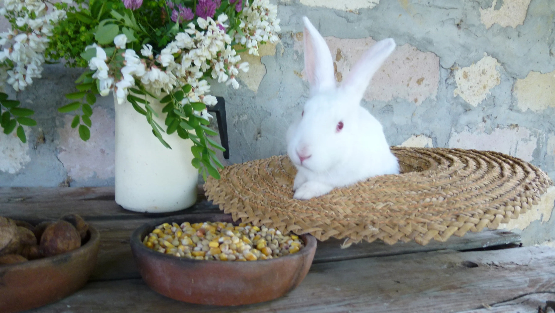 Гостевой Дом Country House Uliana