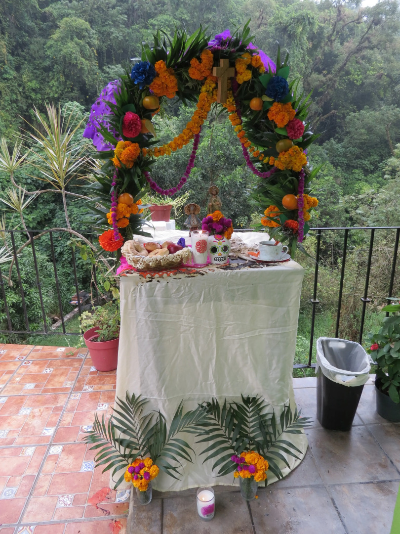 Отель Casa Verde Xilitla by Rotamundos