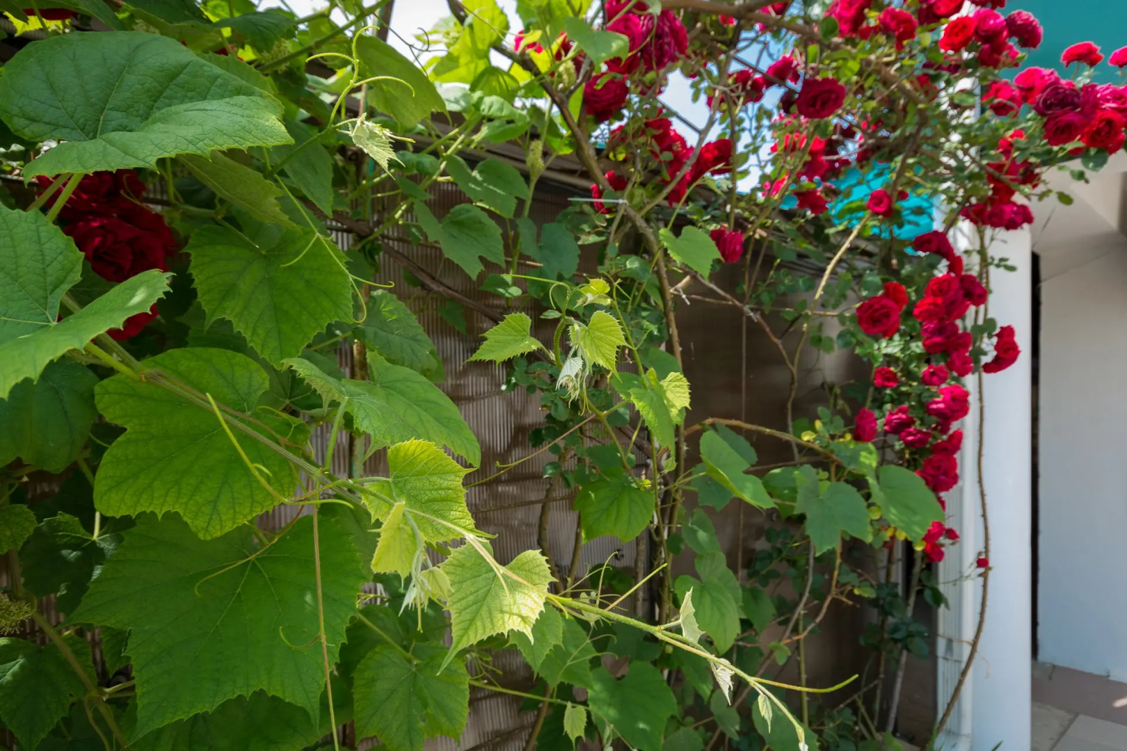 Курортный отель Лазурный берег