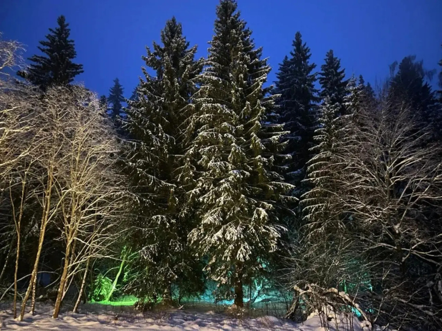 Гостевой дом Хвойный Лес А-фрейм