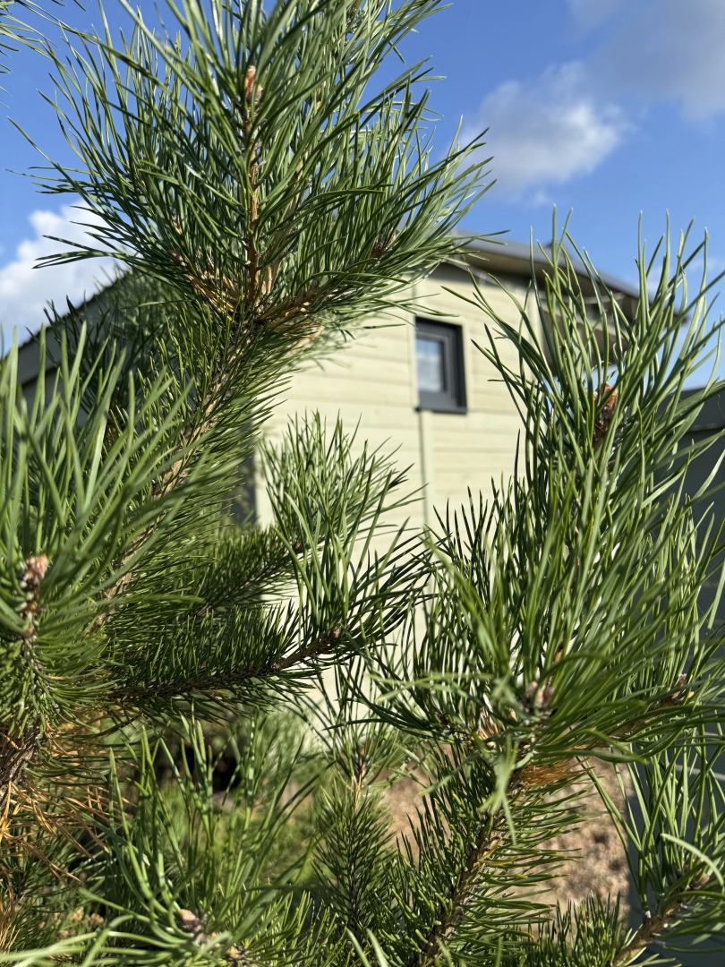 Частный дом уютный на берегу р.Ласьва