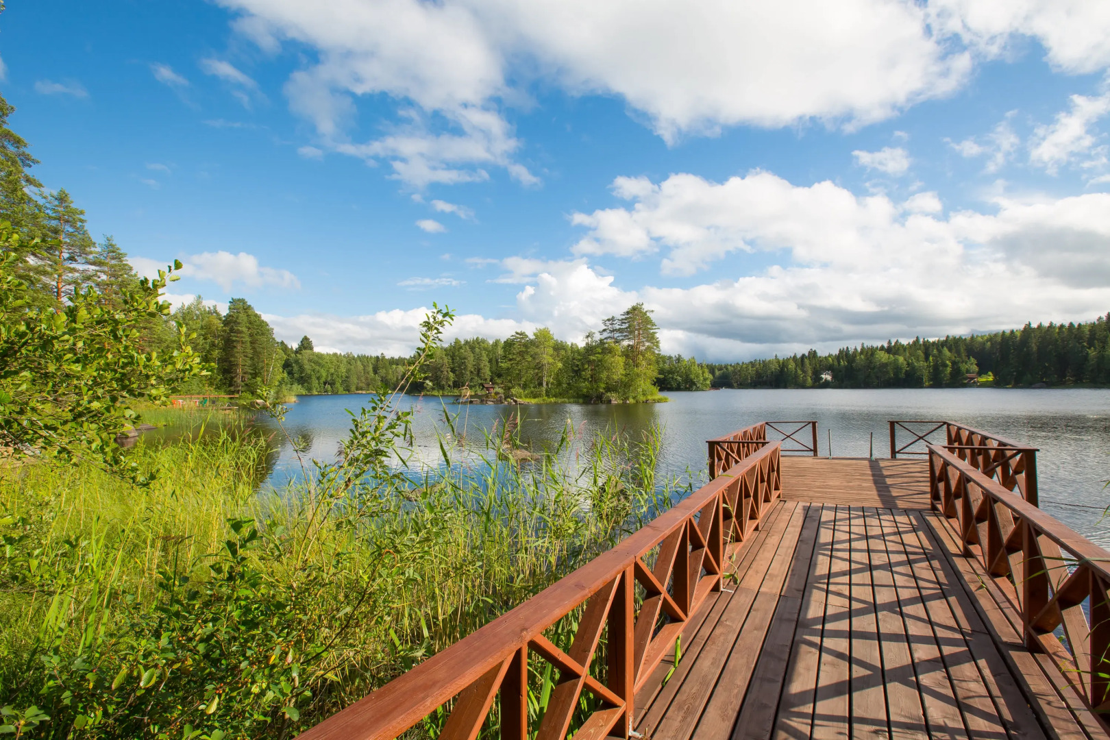 База отдыха Лесная Сказка