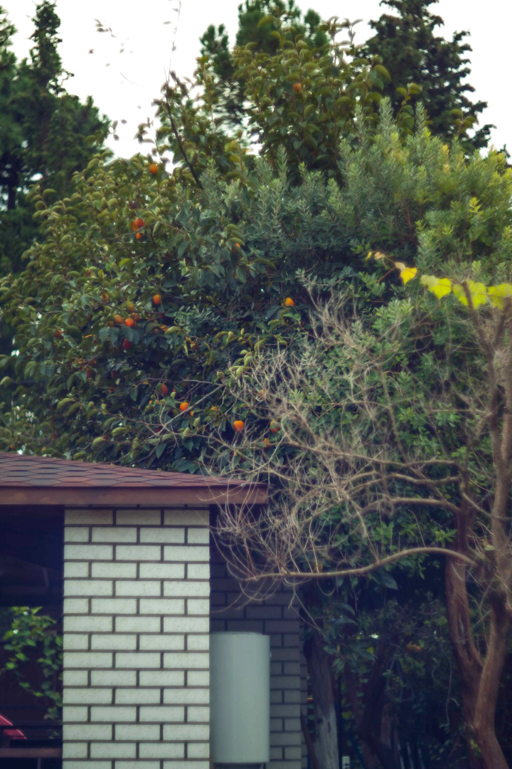 Гостевой дом Valentina