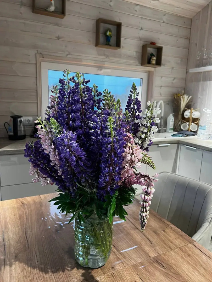 Частный дом Vremya Otdykha