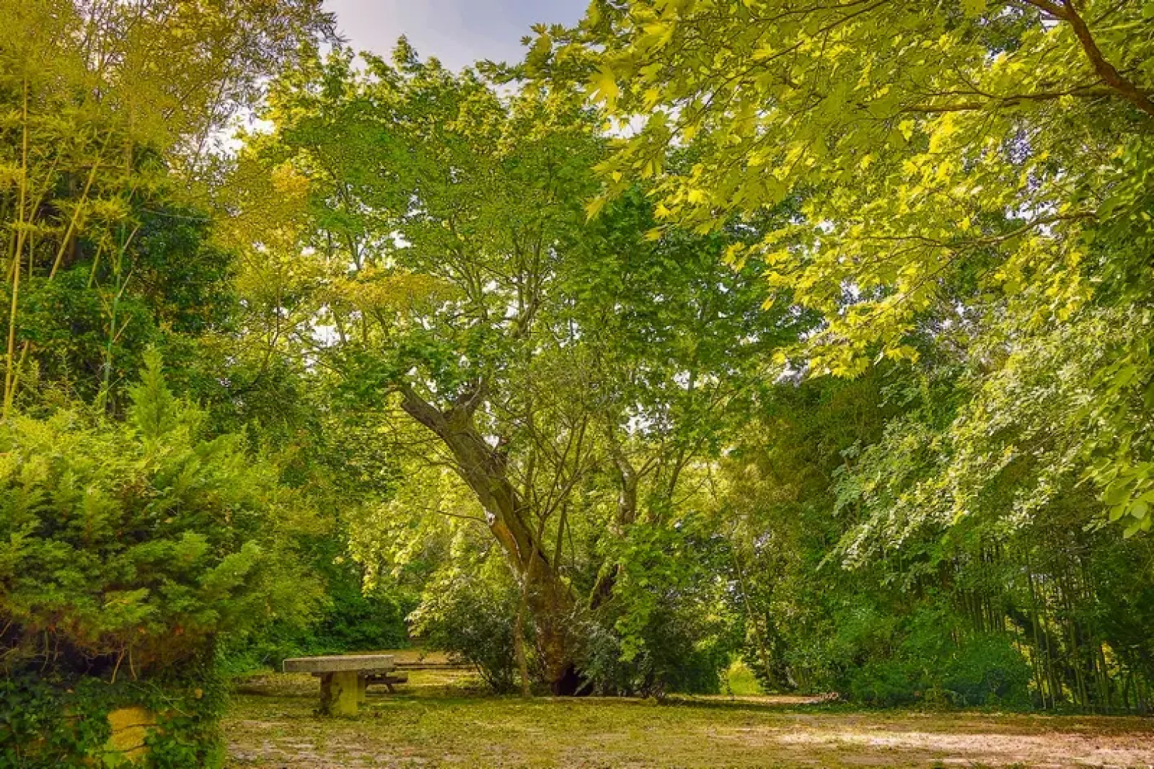 Istanbul Airport Durusu Club Hotel