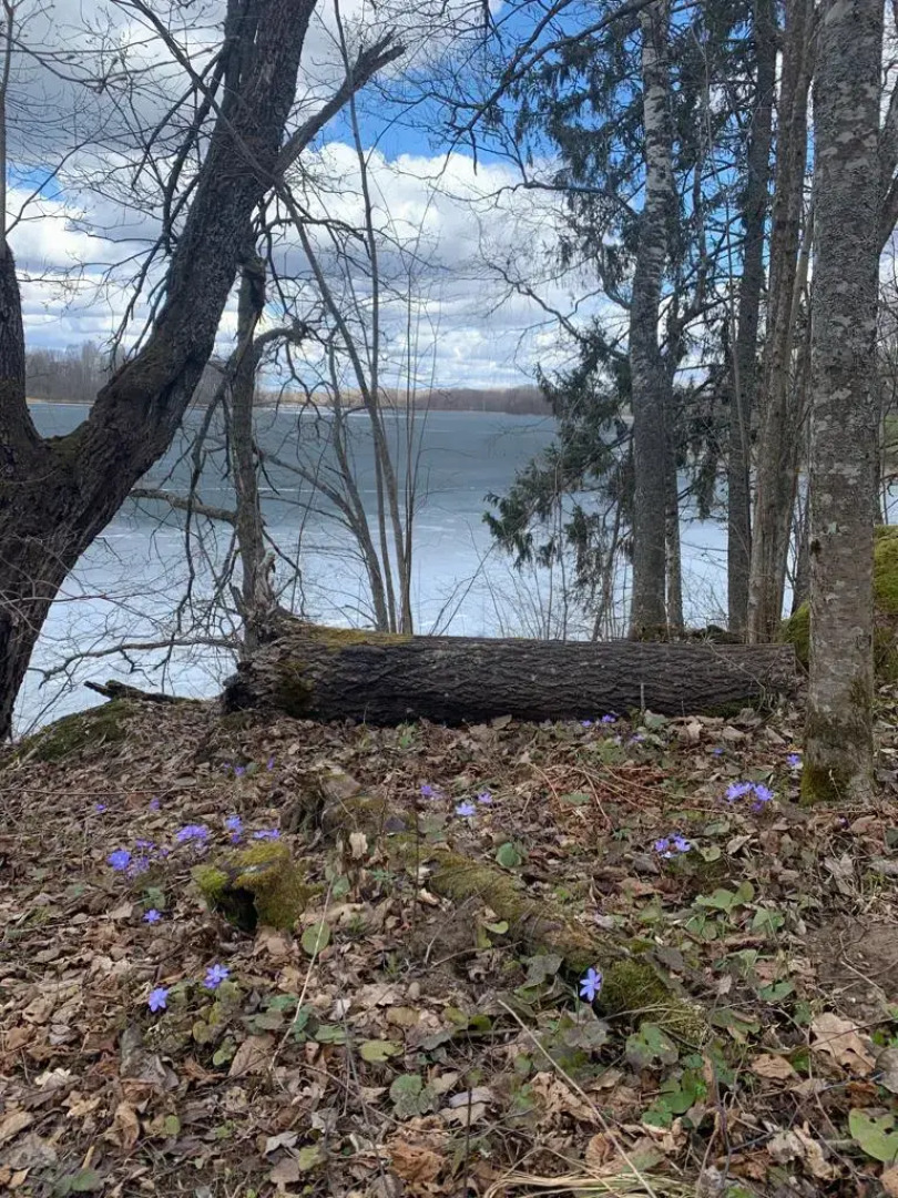 Бунгало Изба Рыбака Хутор Каменюк