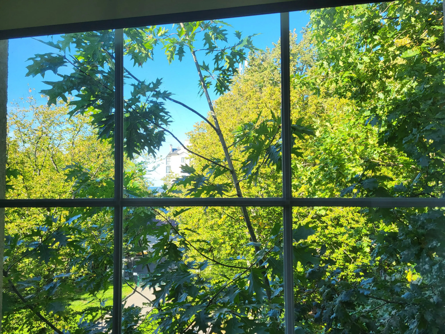 Апартаменты двухкомнатные на Балтике у моря