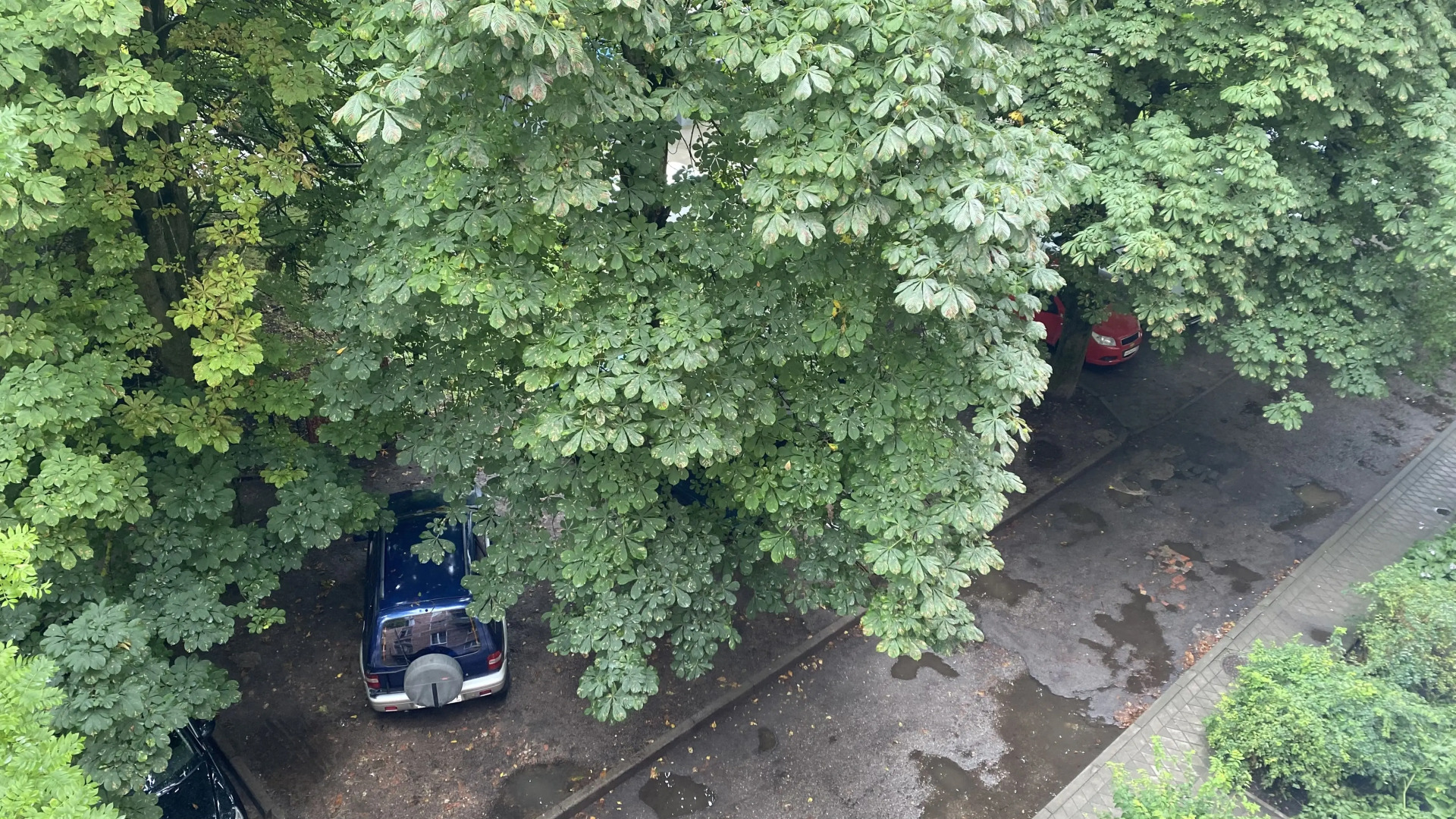 Квартира в самом центре города