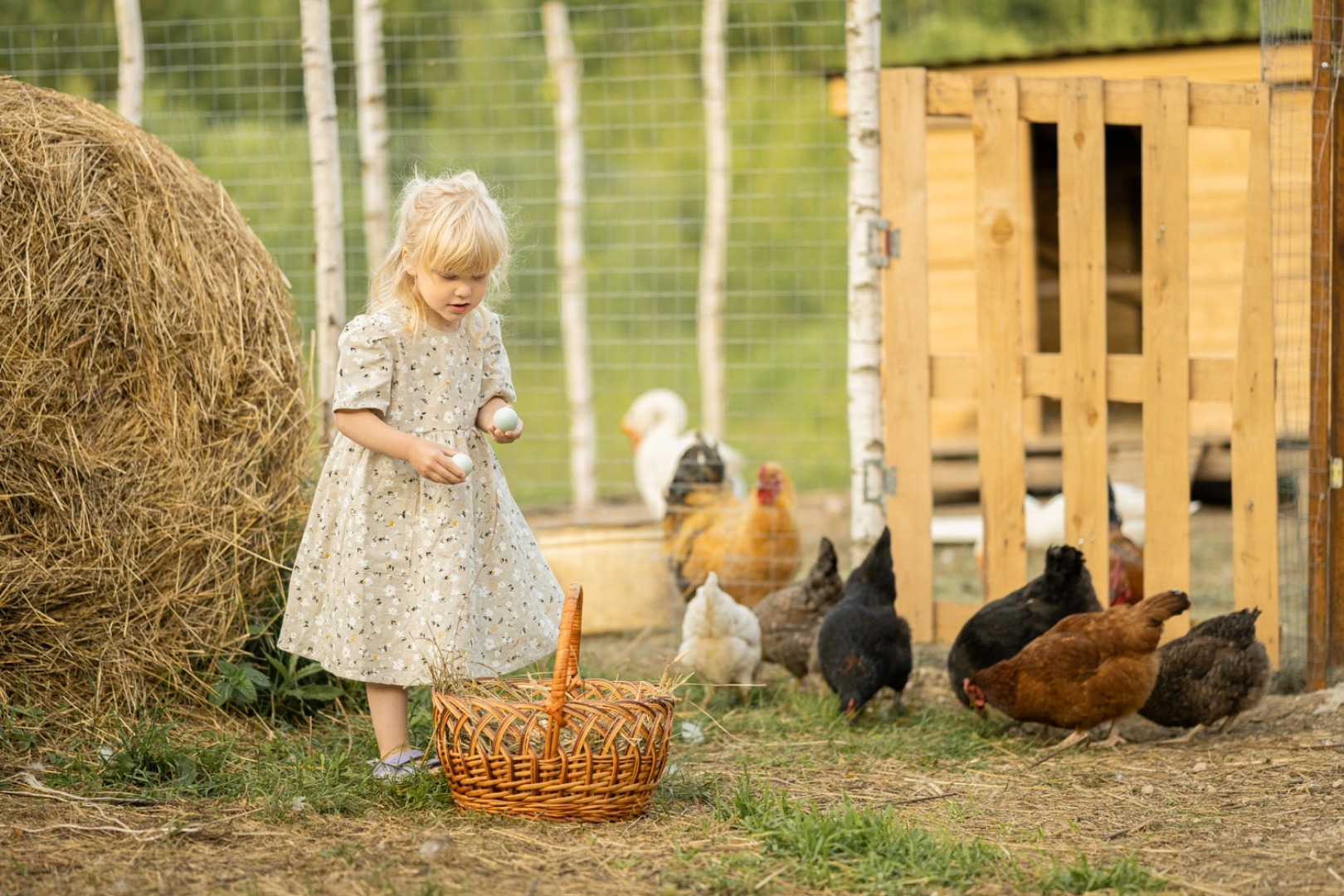 Гостевой дом на экоферме Тишь да гладь