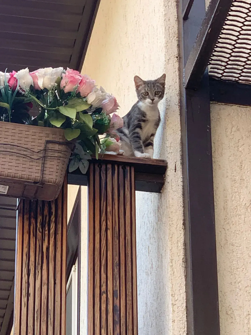 Гостевой дом Амалия