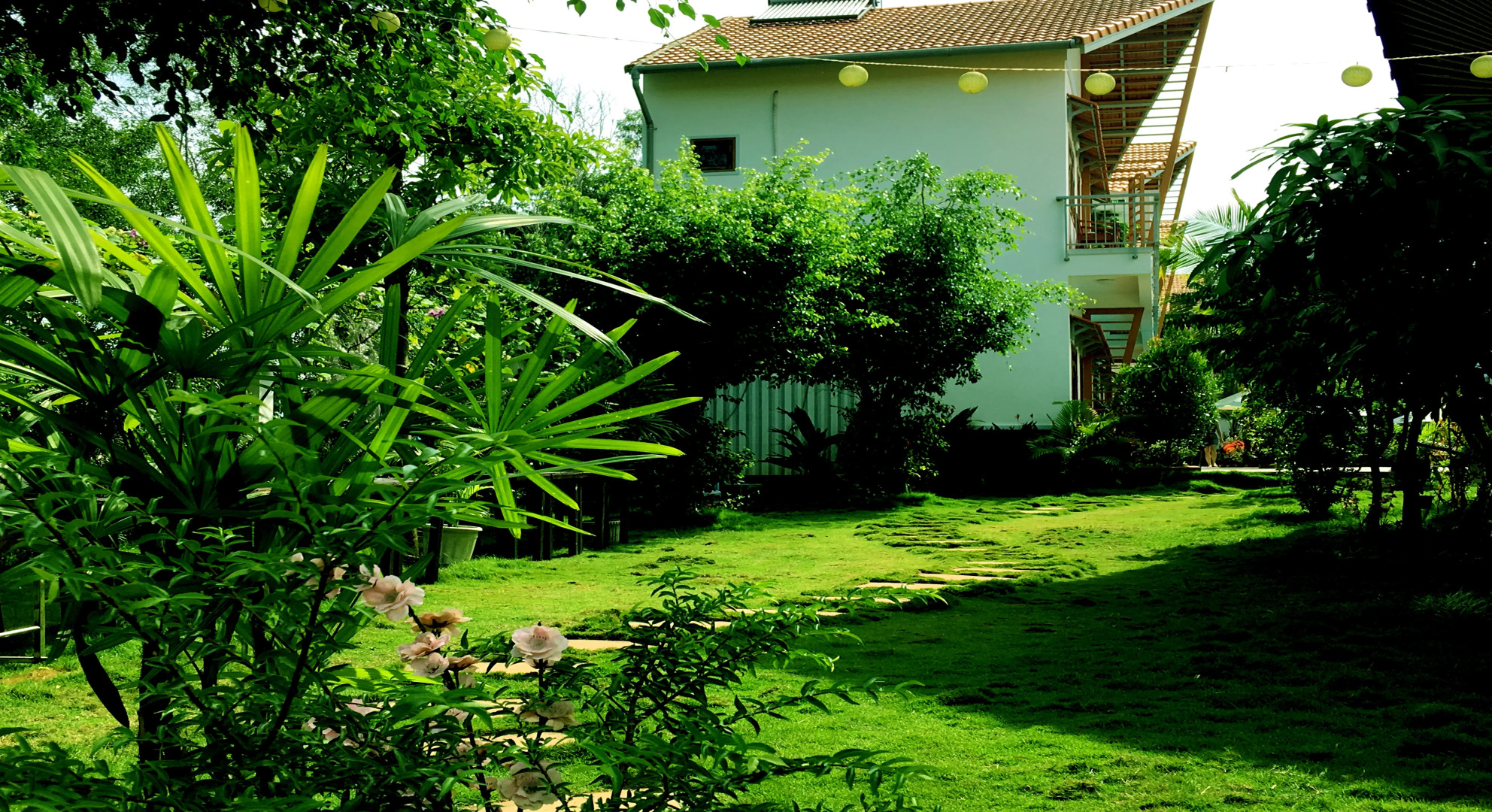 Отель Camellia Resort & Spa