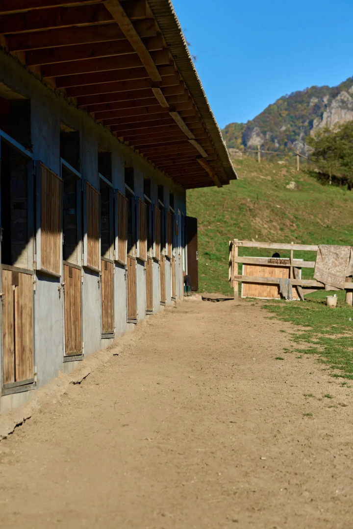 Гостевой дом Aydin El