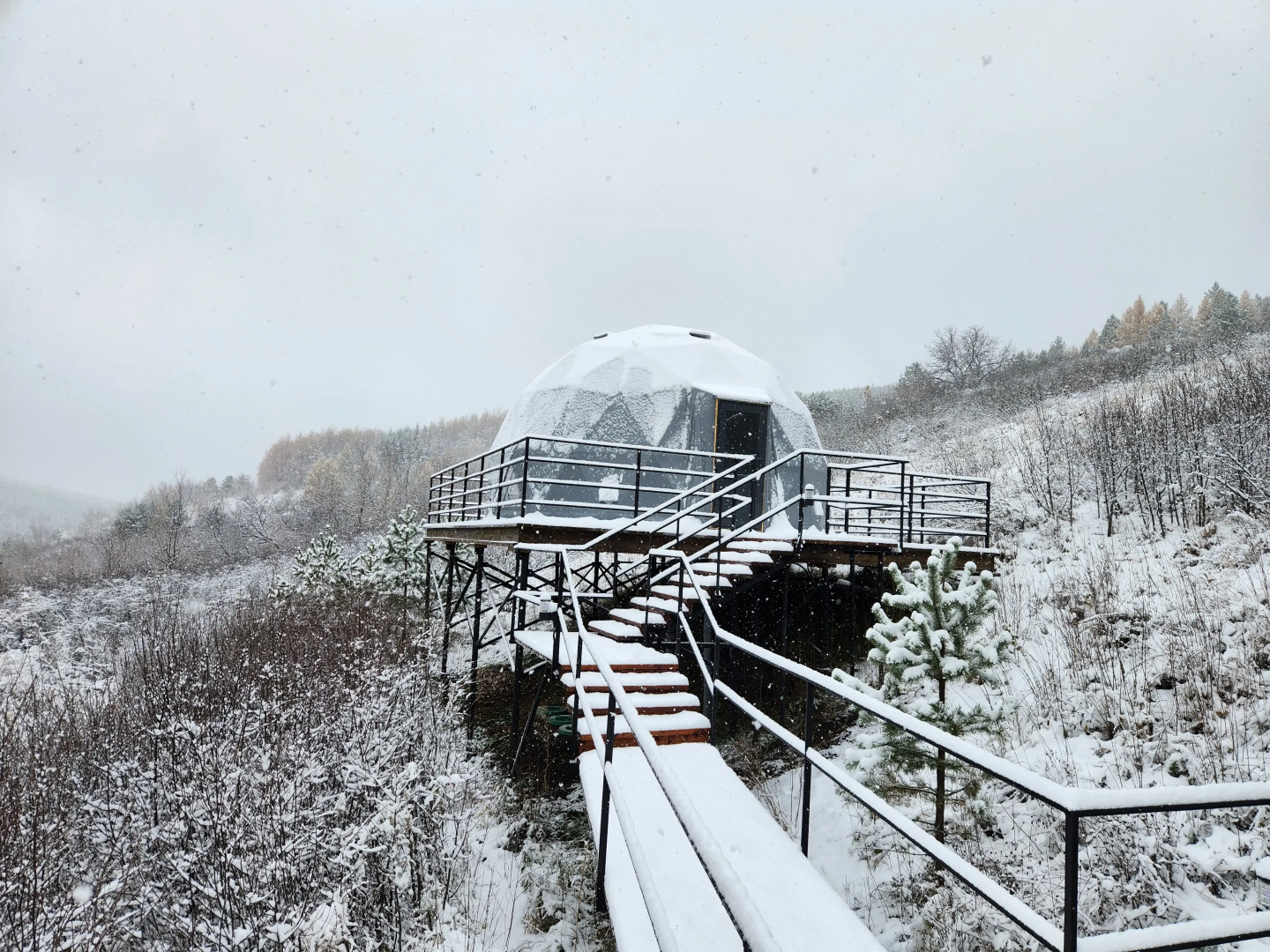 Гостевой дом 11 Гор Алтая