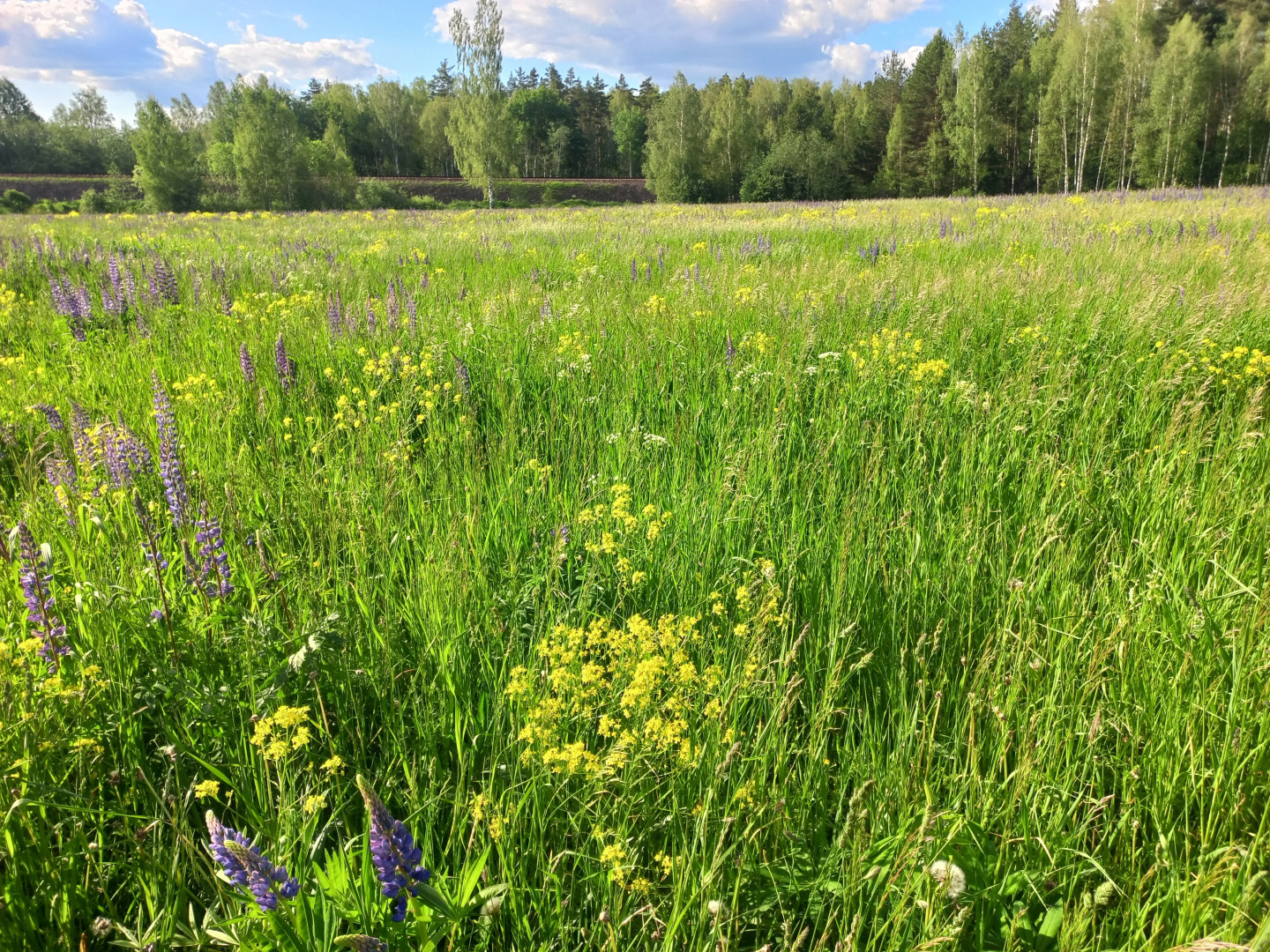 Частный дом Речная Заимка