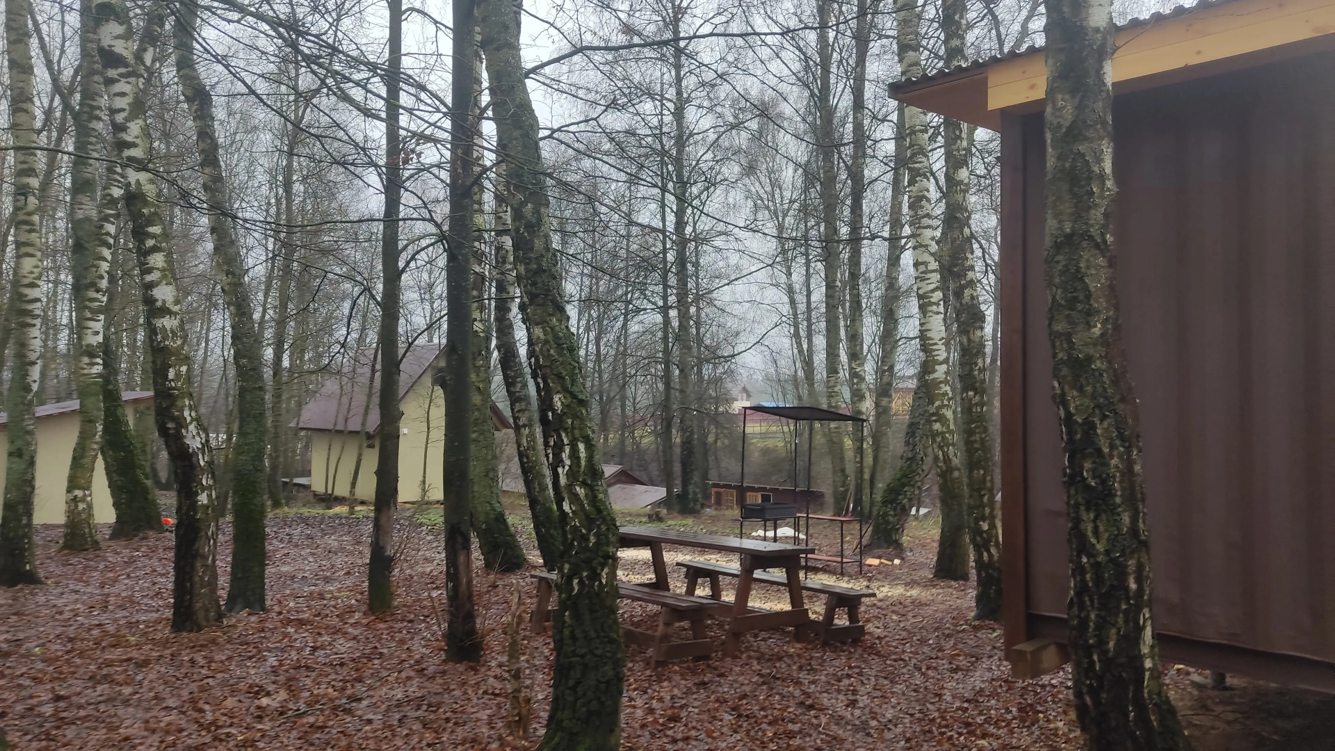 Частный дом Дом в лесу