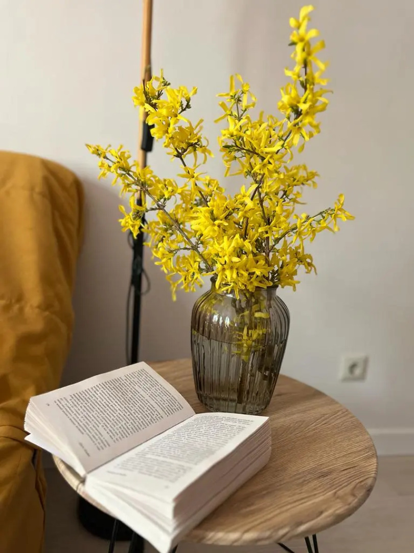 Квартира Москворечье Каширская