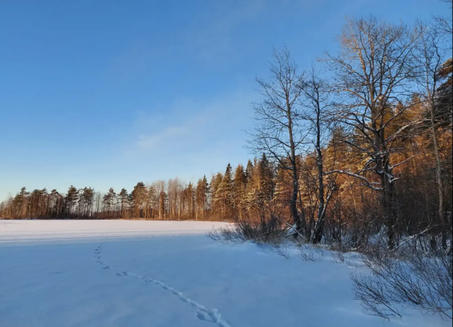 Эко Апартаменты уютные и светлые