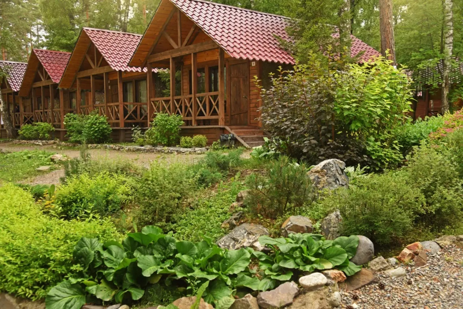 База отдыха Сердце Алтая