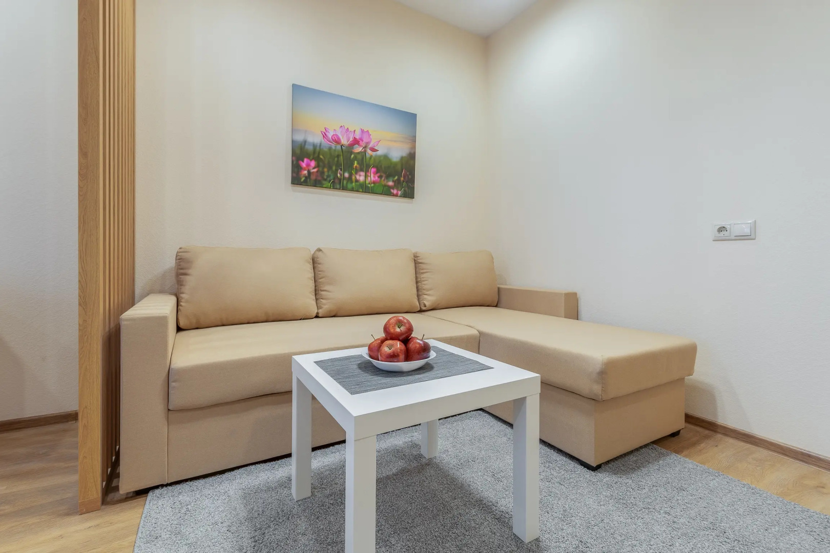 Апартаменты 101Апарт стильные у парка Диво Остров