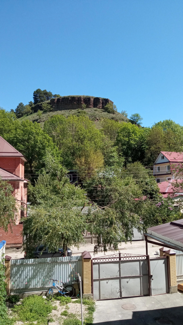 Меблированные комнаты у горы Сосновки