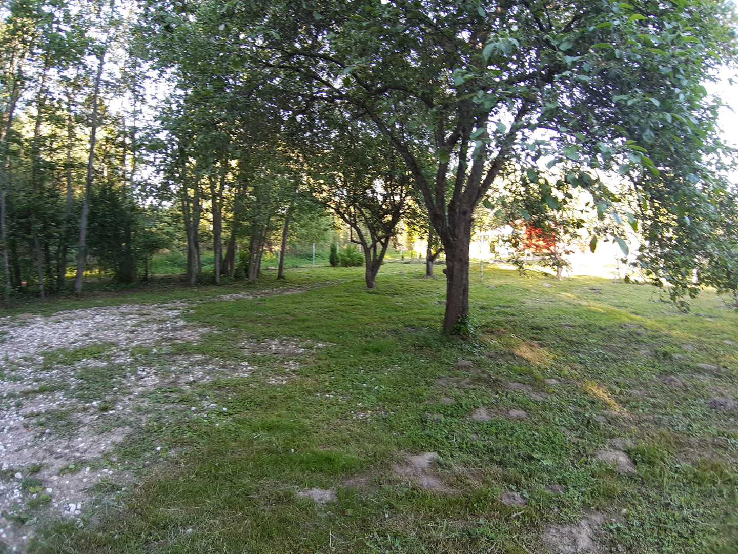 База отдыха Кемпинг Свистуново