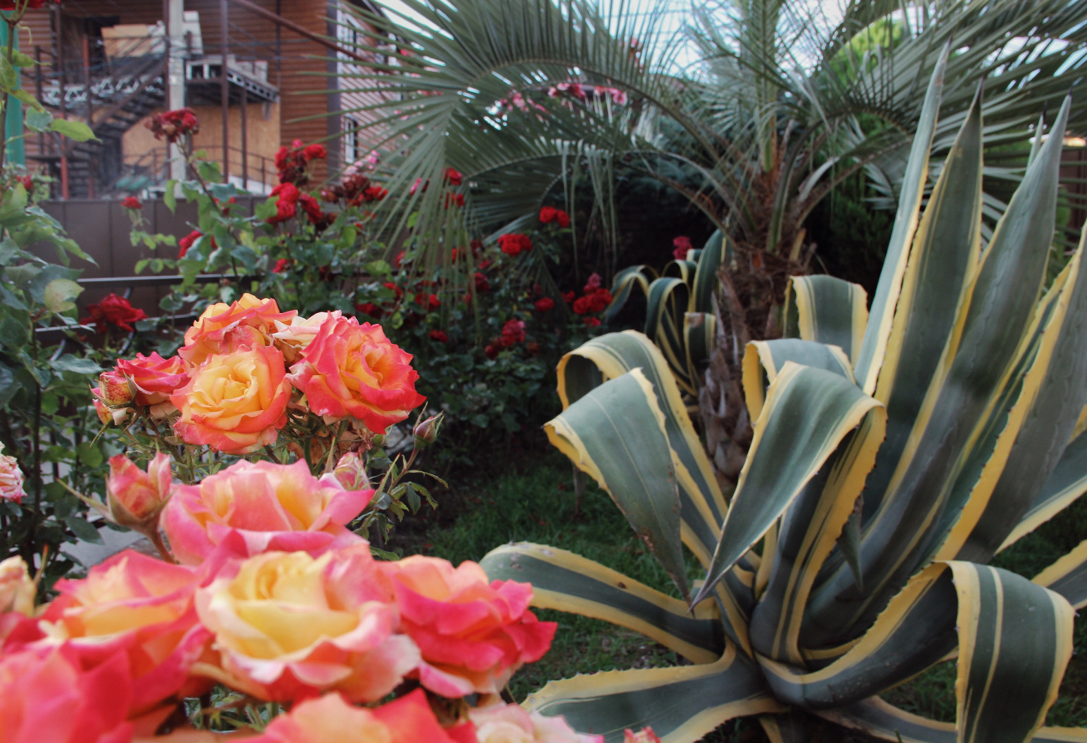 Апарт-отель Planeta MOV