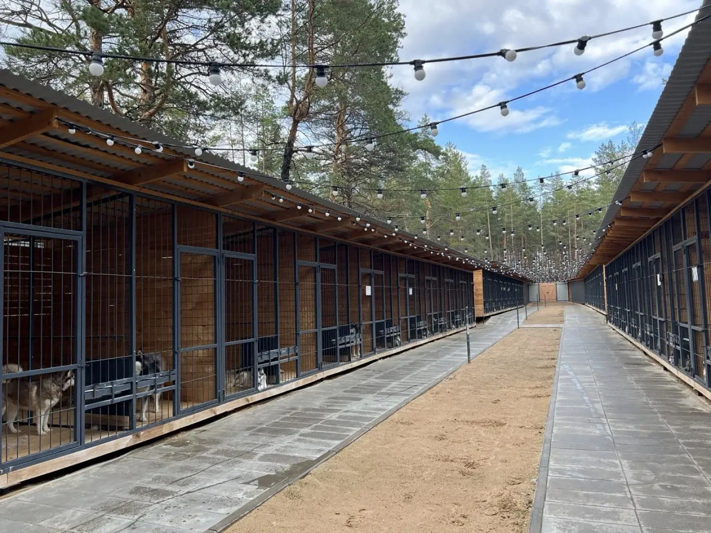 База отдыха Маламут Ленд