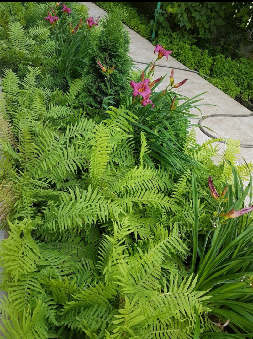 Гостевой дом У Аркадия