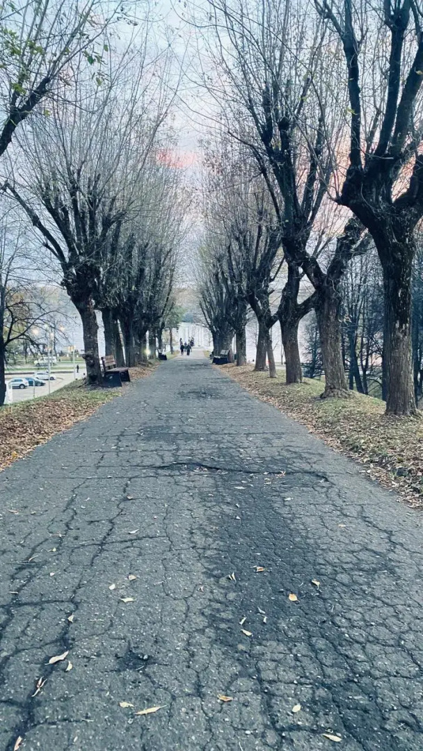 Квартира Комфортная просторная