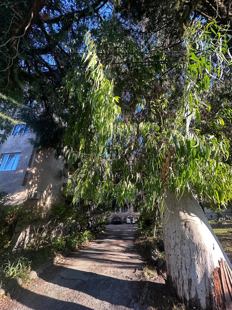 Апартаменты Дольче Вита с видом на море