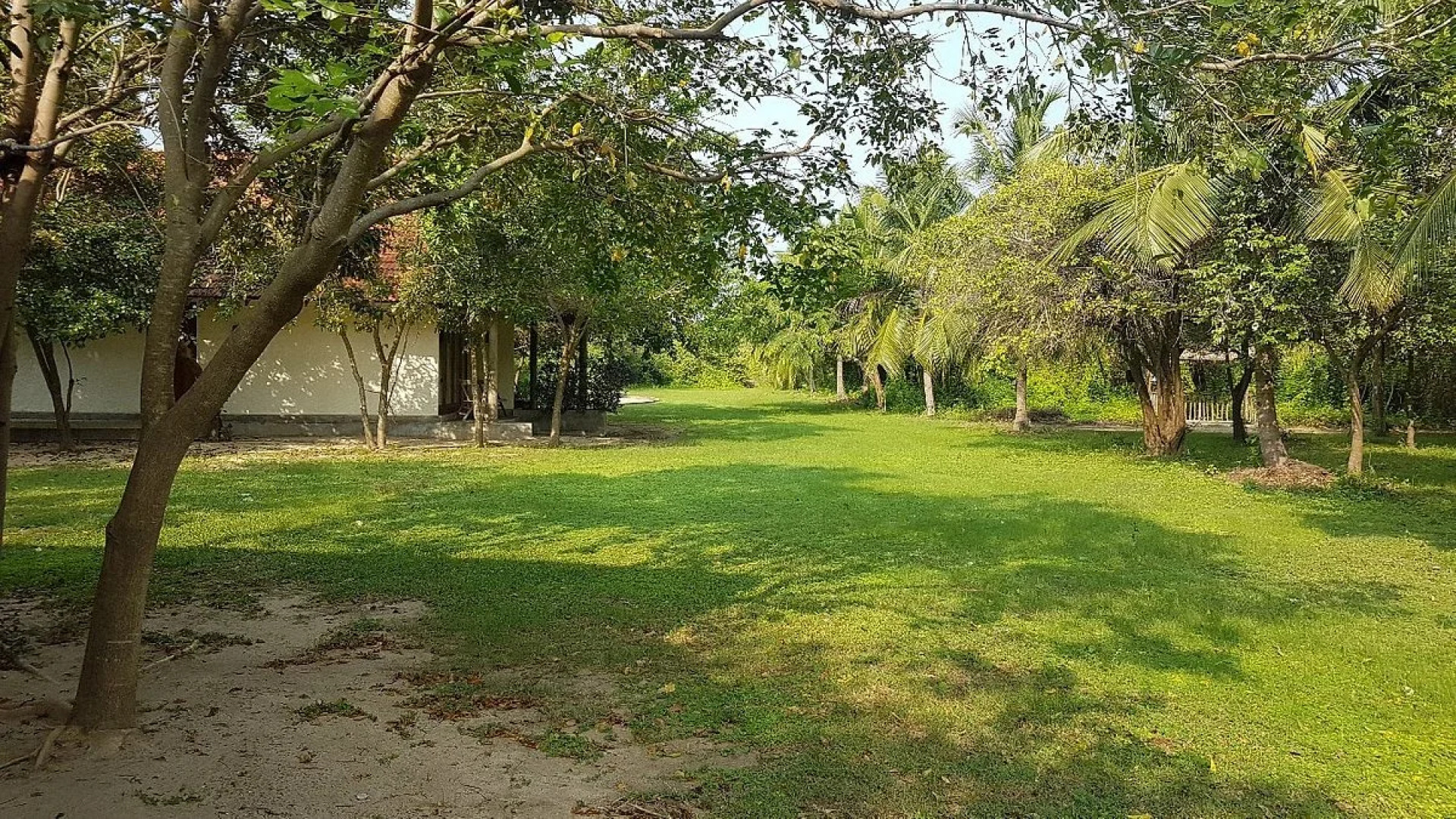 Отель Giman Free Beach Resort