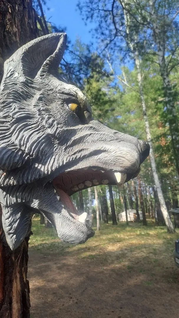 Кэмпинг Золотая юрта