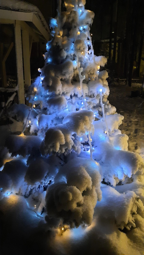 Частный дом в Вязах 2