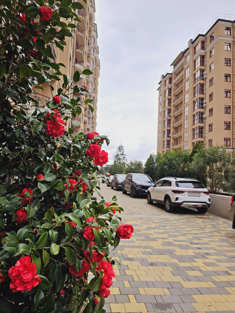 Апартаменты SochiHome Новая Заря